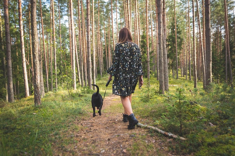 Nature Stroll